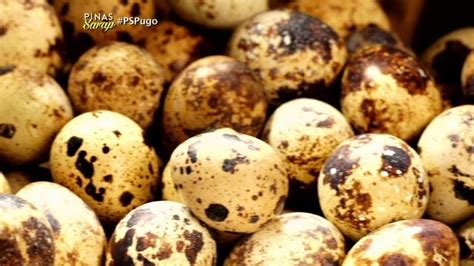 itlog sa pugo|Mga putaheng pinalinamnam ng itlog ng pugo, ihahain .